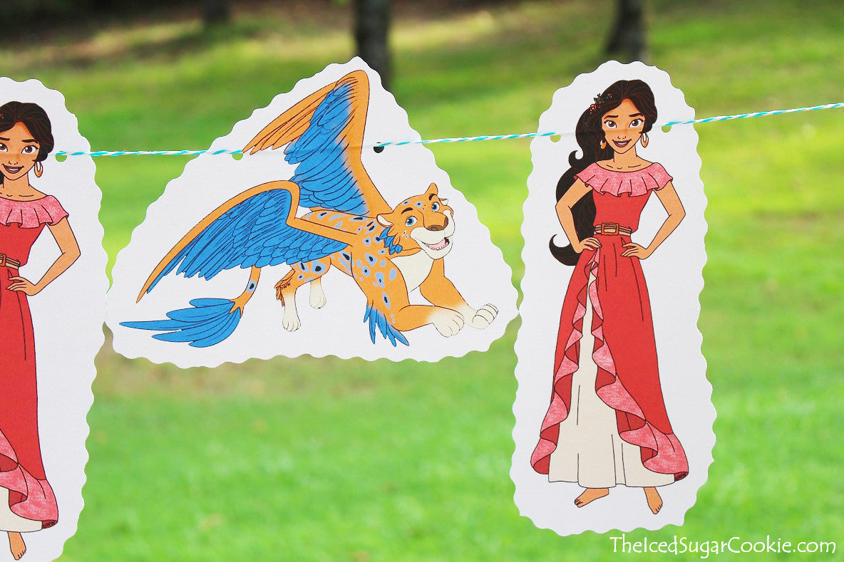 DIY Elena of Avalor Birthday Party Flag Hanging Banner Idea