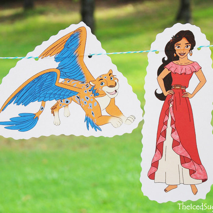 DIY Elena of Avalor Birthday Party Flag Hanging Banner Idea