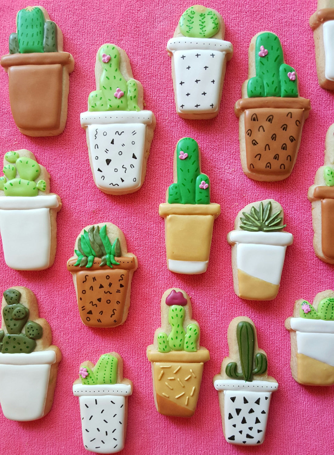 Potted Cactus Birthday Party Sugar Cookies TheIcedSugarCookie.com Merci Bakery