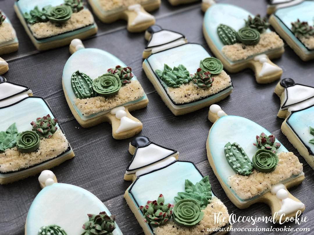 Terrarium Succulent Plant Sugar Cookies TheIcedSugarCookie.com The Occasional Cookie