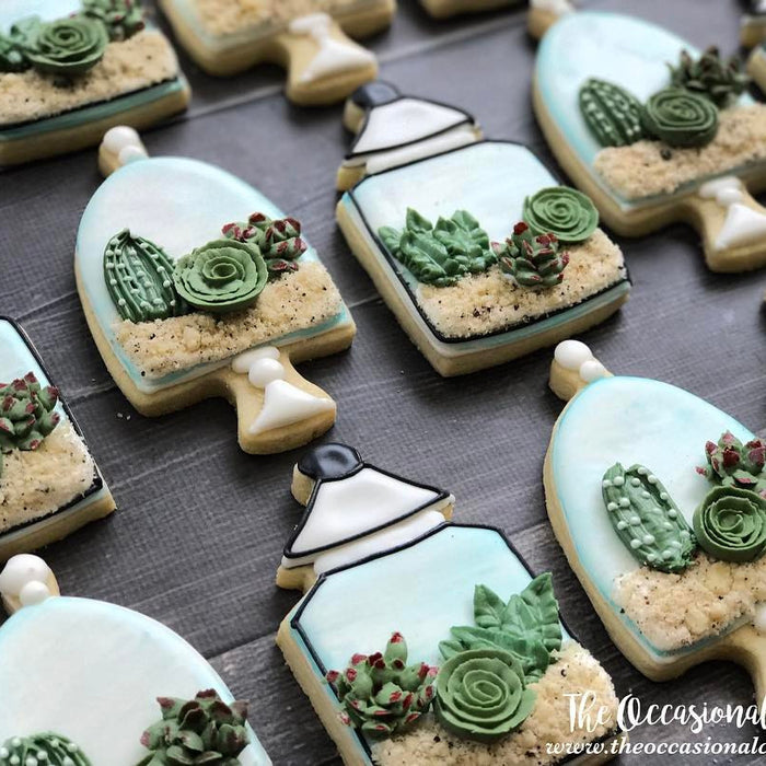 Terrarium Succulent Plant Sugar Cookies TheIcedSugarCookie.com The Occasional Cookie