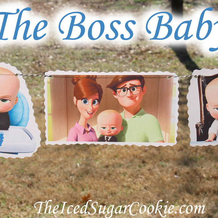 The Boss Baby Birthday Party DIY Idea Flag Hanging Banner-Baby Templeton, Mr And Mrs Templeton