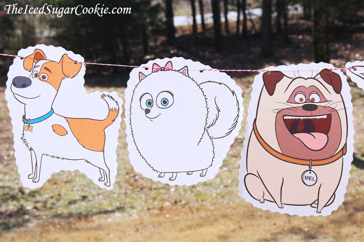 The Secret Life Of Pets Birthday Party DIY Idea Flag Hanging Banner Max, Gidget, Mel, Snowball, Duke, Buddy, Chloe