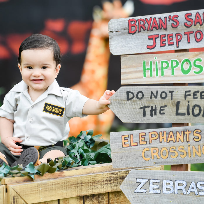 Bryan's Safari 9 Month Birthday Party Cakes