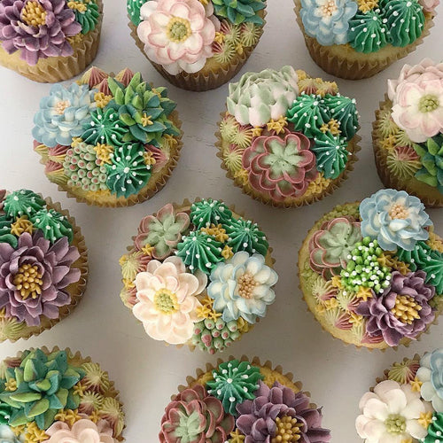 Succulent Cupcakes